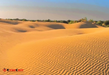 Олешківські піски – найбільша пустеля Європи